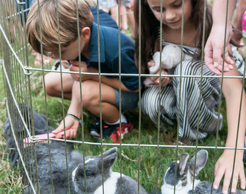 Mobile Petting Zoo Rental Near Me