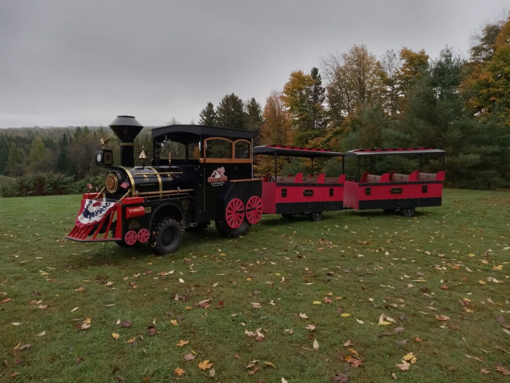 Party Train Rentals Carnival Ride Rentals | BYB Event Services and Party Supply