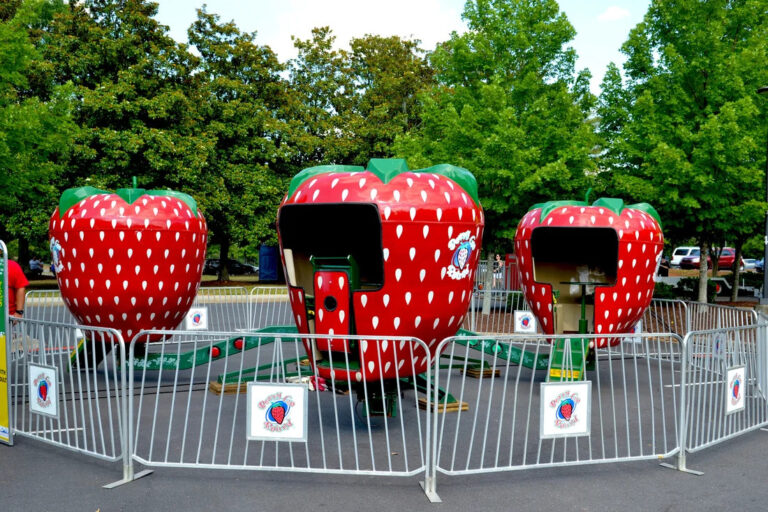 Next Event Ride Berry Go Round Amusement Ride Rental | BYB Event Services | Ferris ...